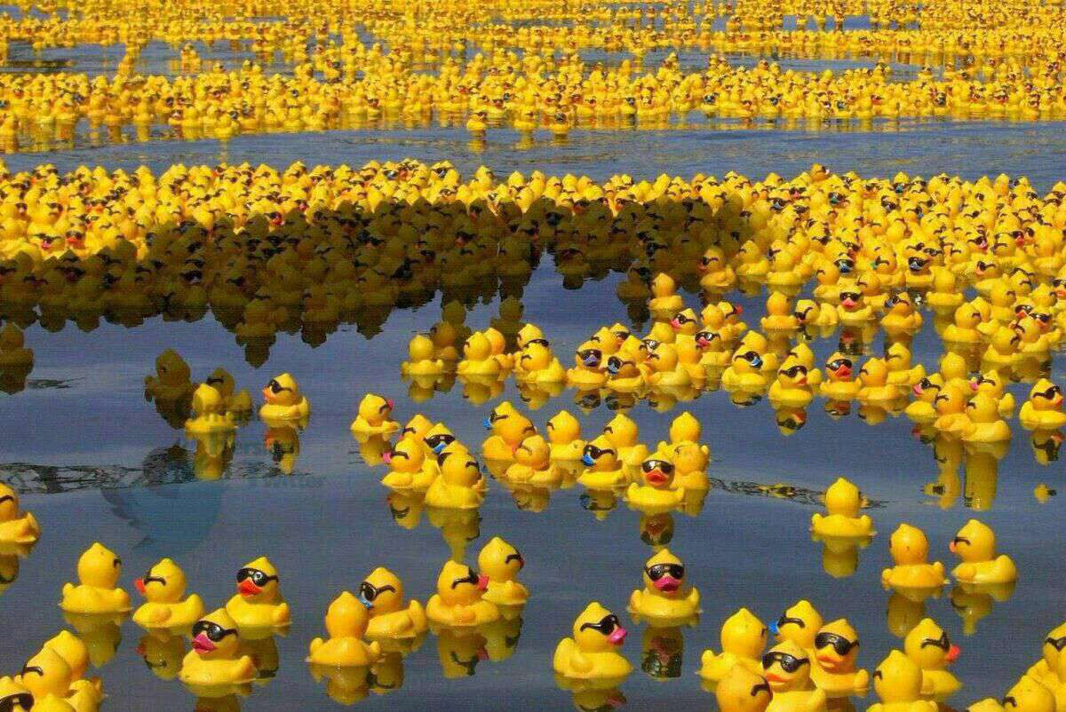 پس از اینکه کشتی حامل ۳۰ هزار اسباب بازی در اقیانوس واژگون شد، این منظره را به وجود آورد. "دریایی پر از جوجه اردک های زرد